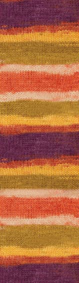 Kod 8027